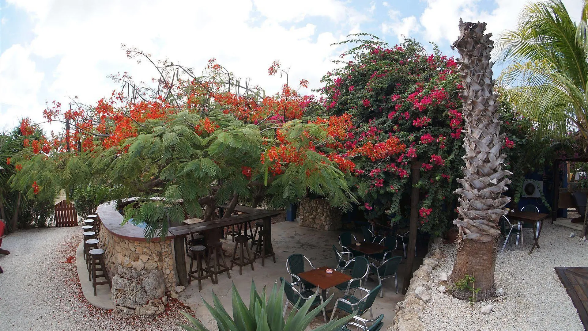 Caribbean Chillout Apartments Kralendijk  3*, Kralendijk (Bonaire)